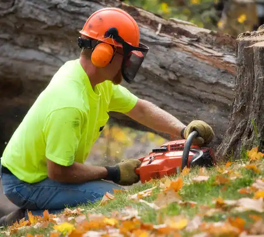 tree services Urania